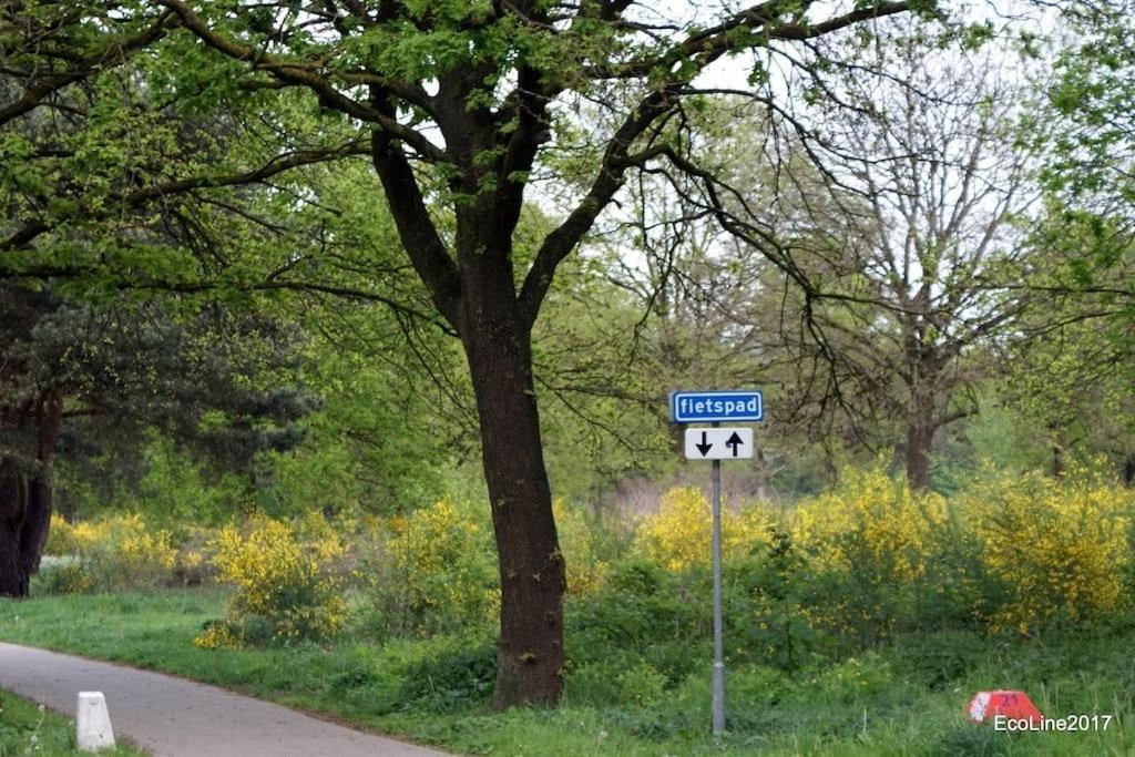 Huinerhofje 2 - Vrijstaand Met Grote Omheinde Tuin, Rust, Privacy En Nabij Bossen Villa Putten Exteriör bild