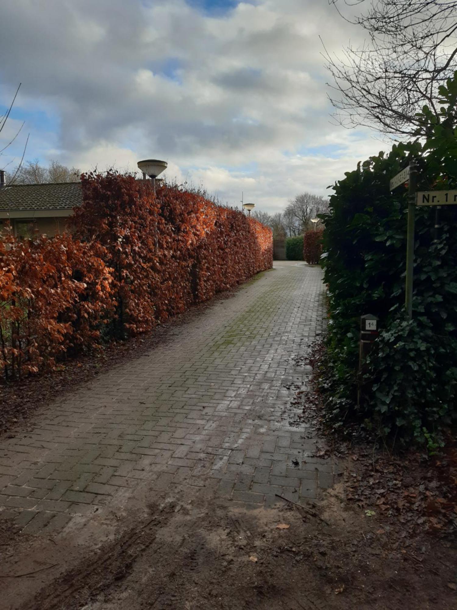 Huinerhofje 2 - Vrijstaand Met Grote Omheinde Tuin, Rust, Privacy En Nabij Bossen Villa Putten Exteriör bild